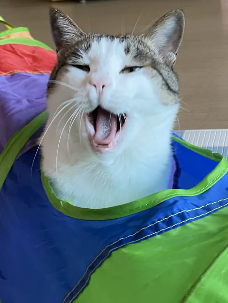 게시글 이미지