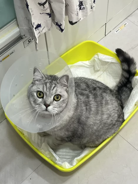 게시글 이미지