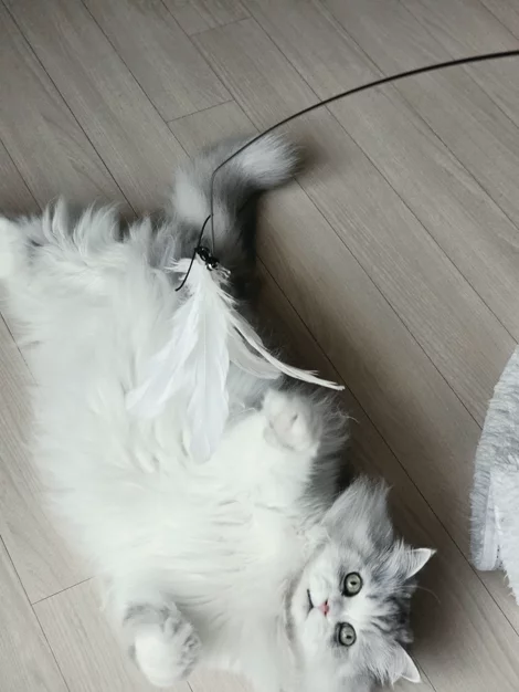 게시글 이미지