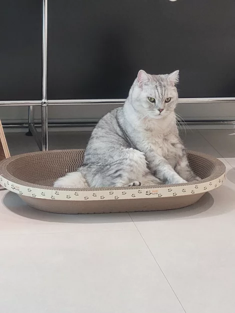 게시글 이미지