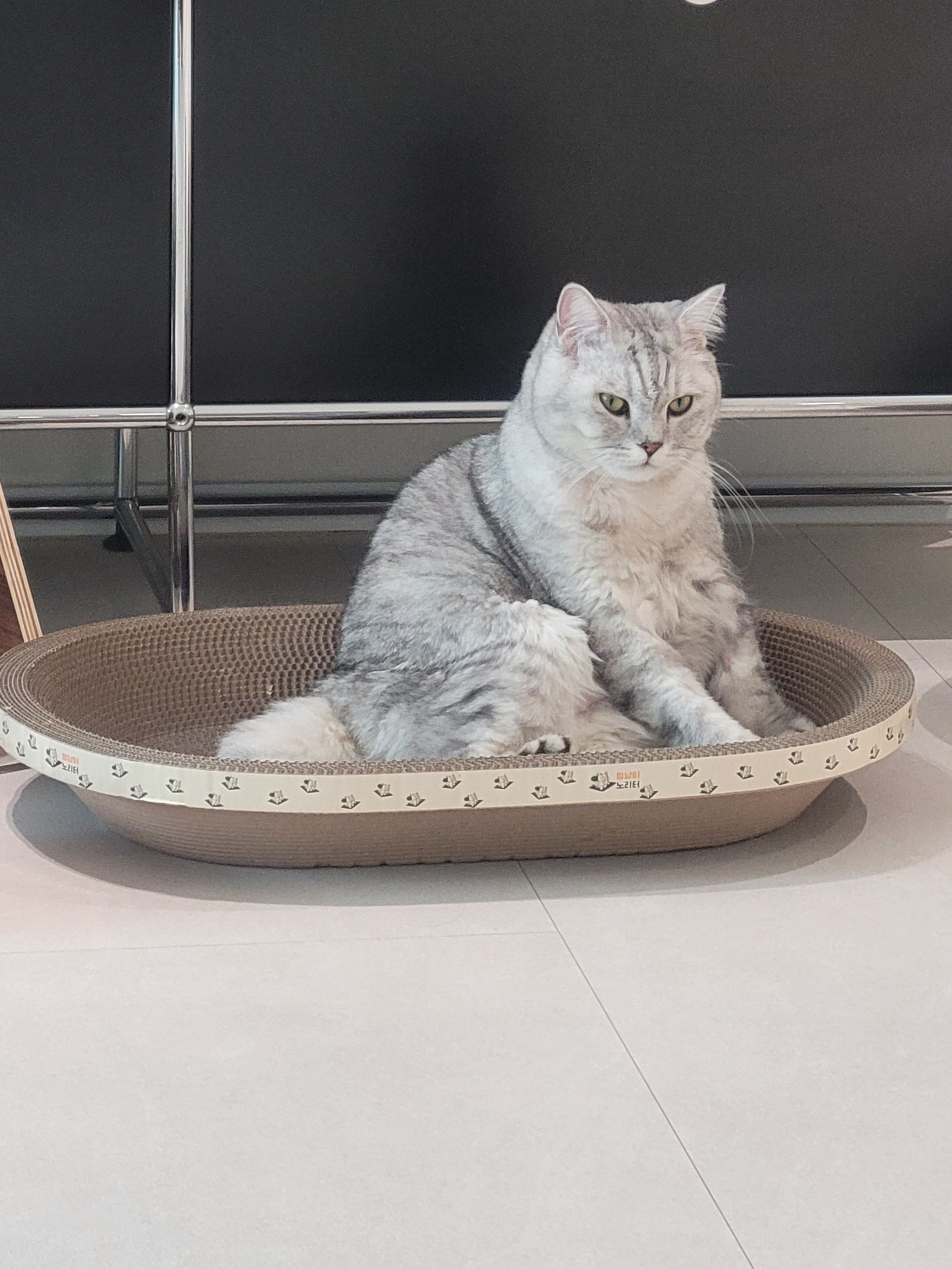 KakaoTalk_20260323_122033973.jpg
