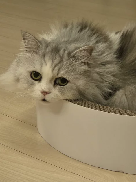 게시글 이미지