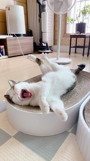 게시글 이미지