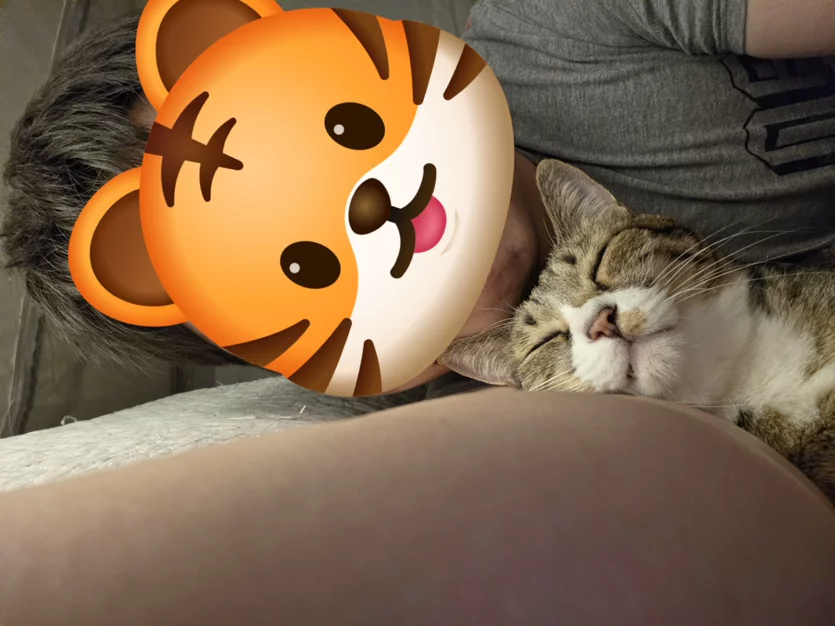 게시글 이미지