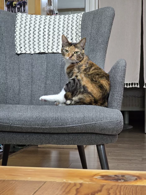 게시글 이미지