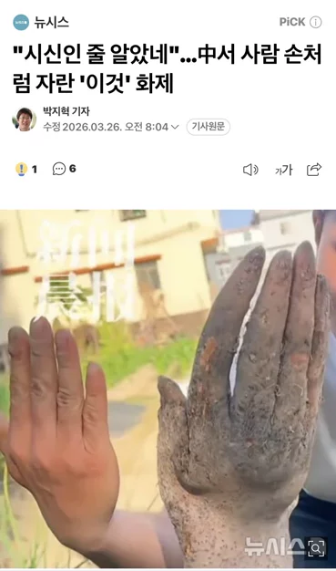 게시글 이미지