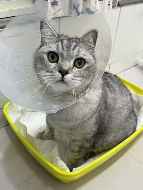 게시글 이미지