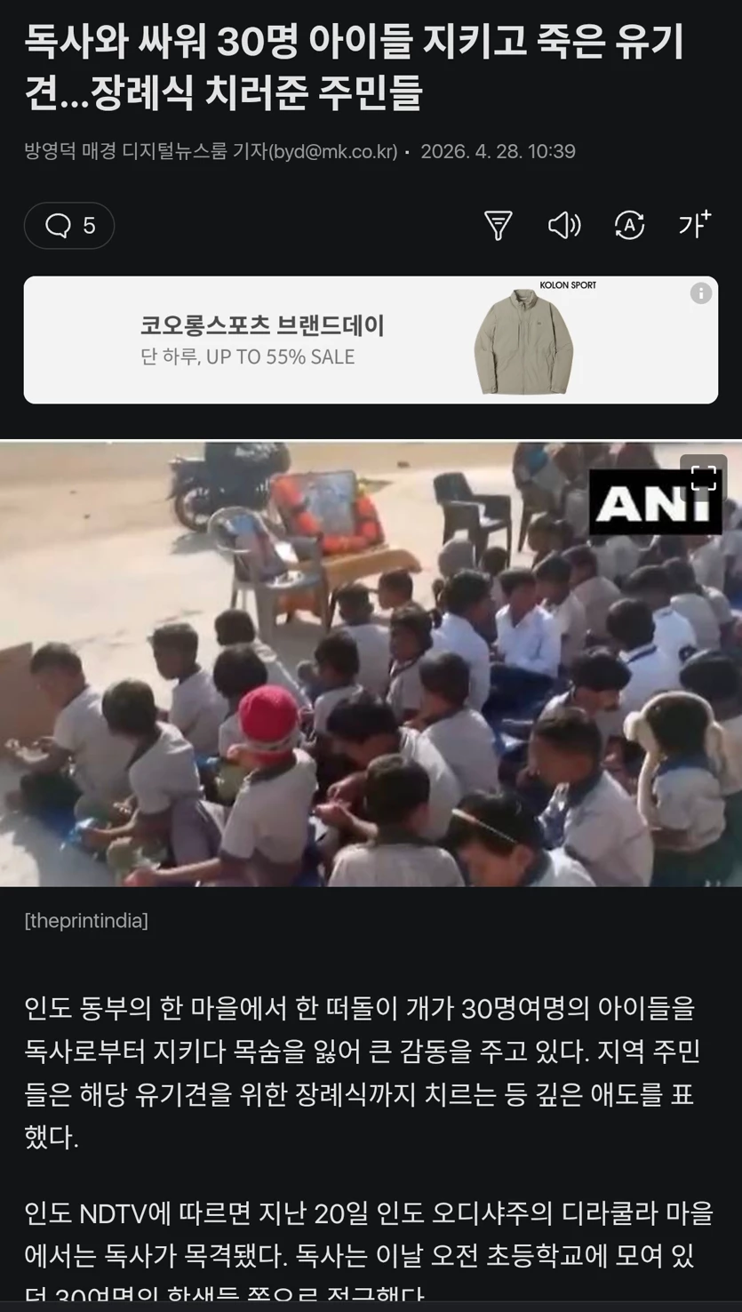 게시글 이미지