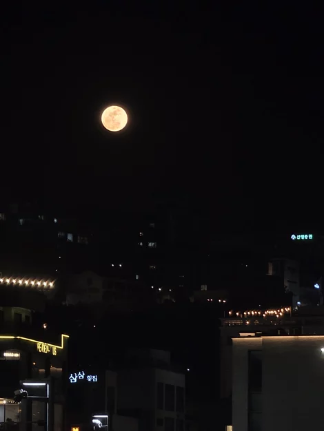 게시글 이미지