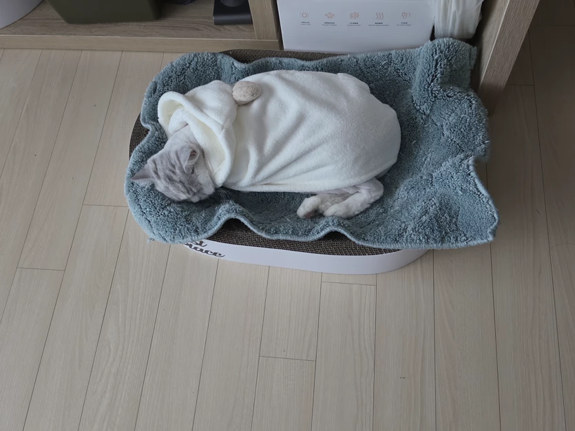 게시글 이미지