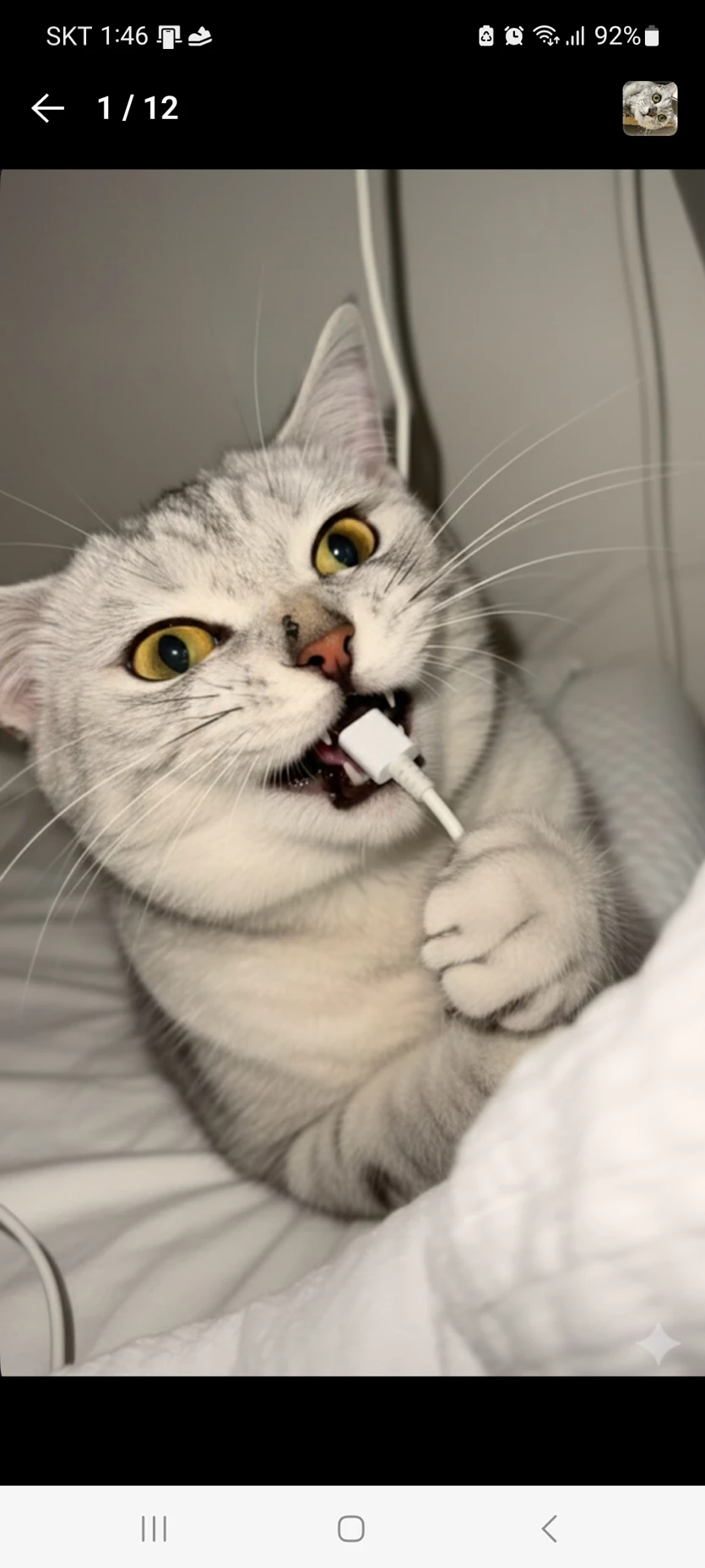 게시글 이미지