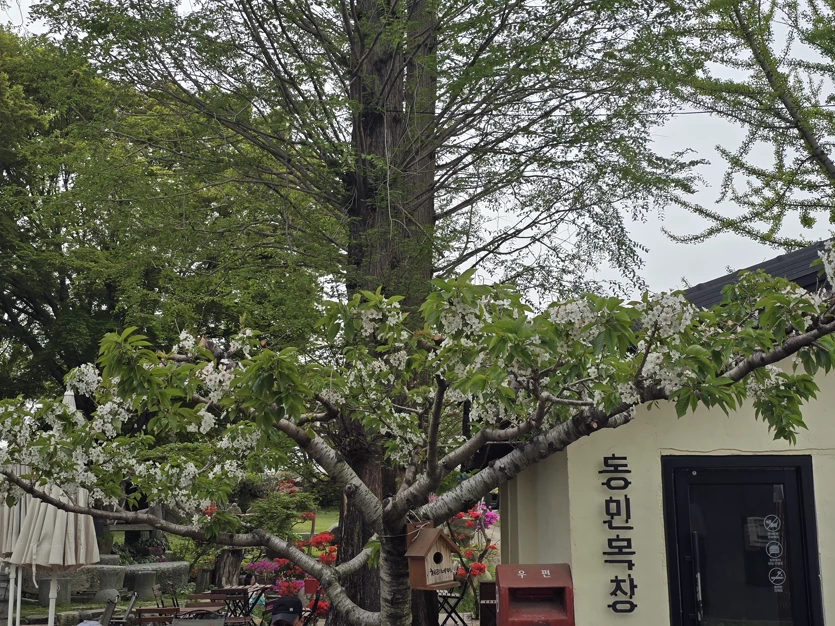 게시글 이미지