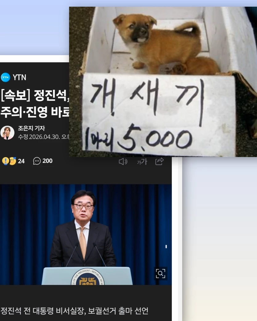 게시글 이미지