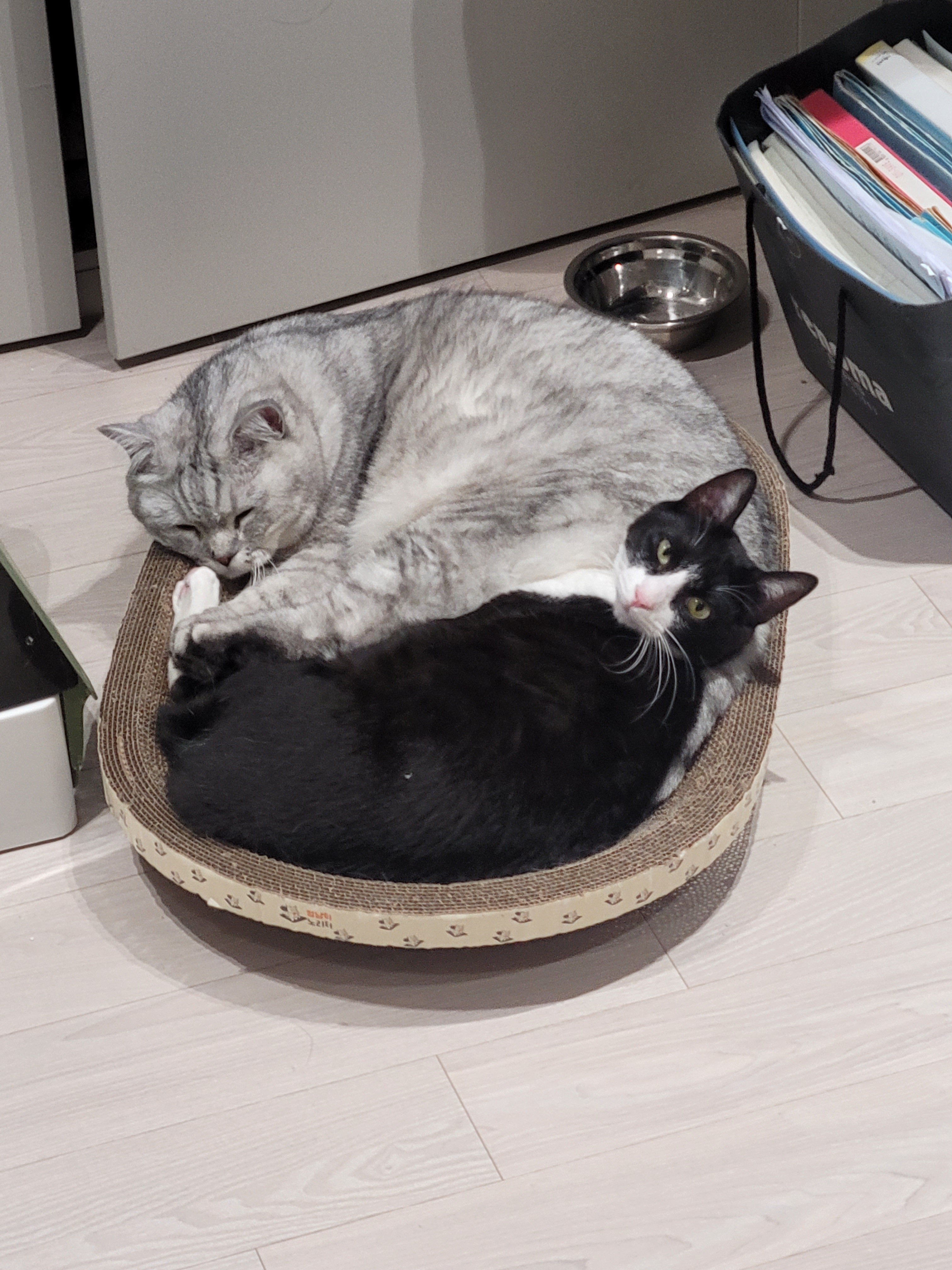 KakaoTalk_20260420_122439651_06.jpg