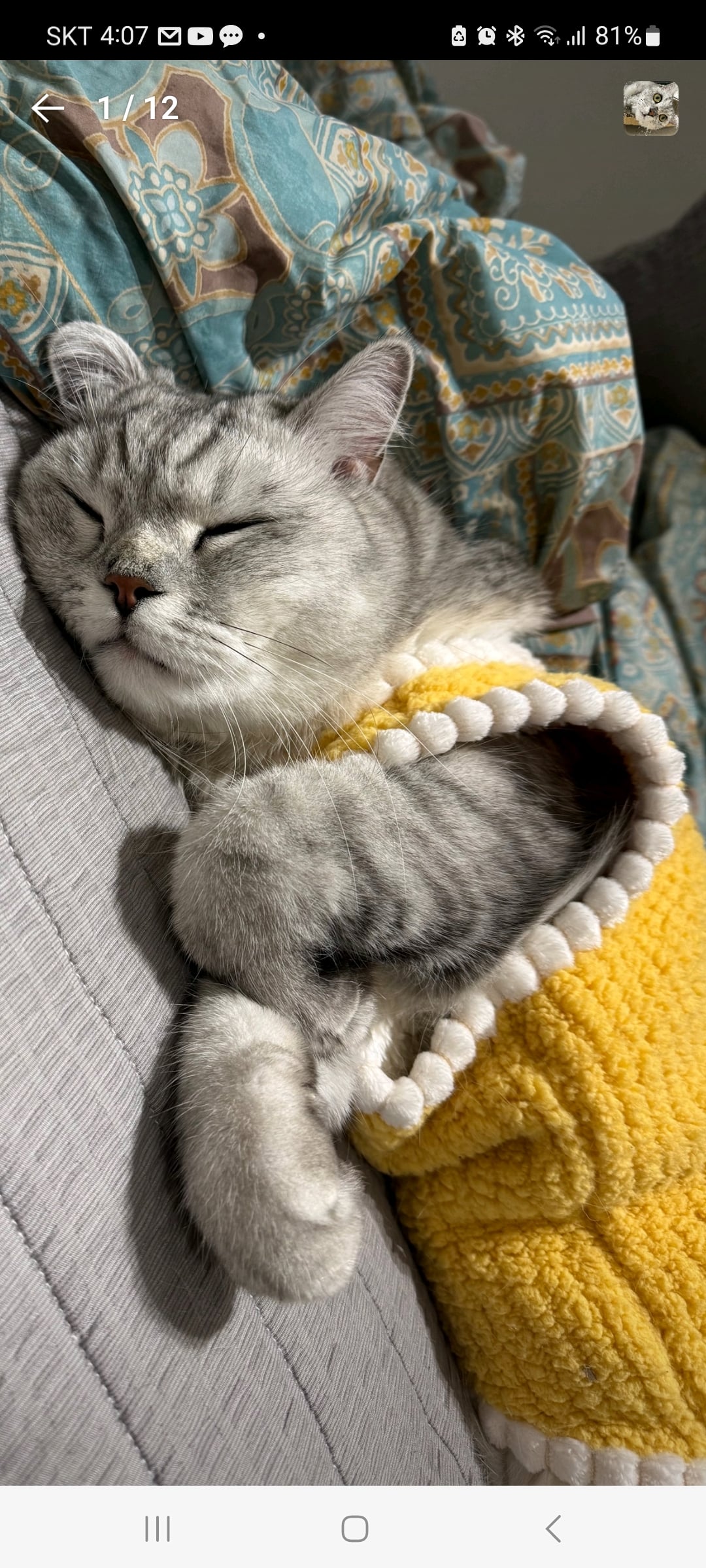 KakaoTalk_20260420_122439651_04.jpg