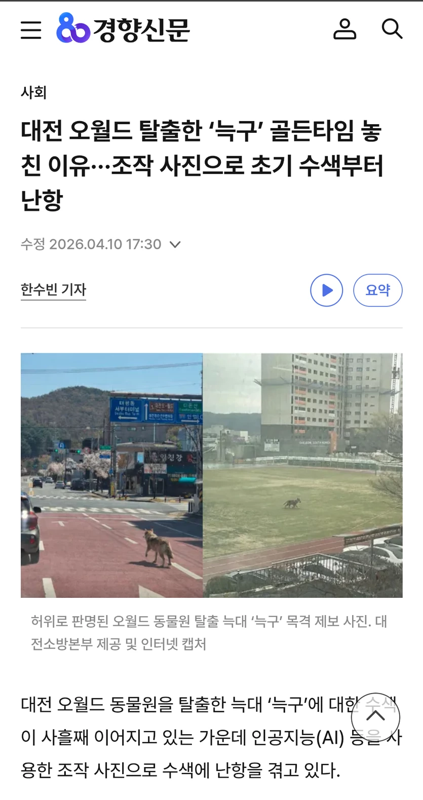 게시글 이미지