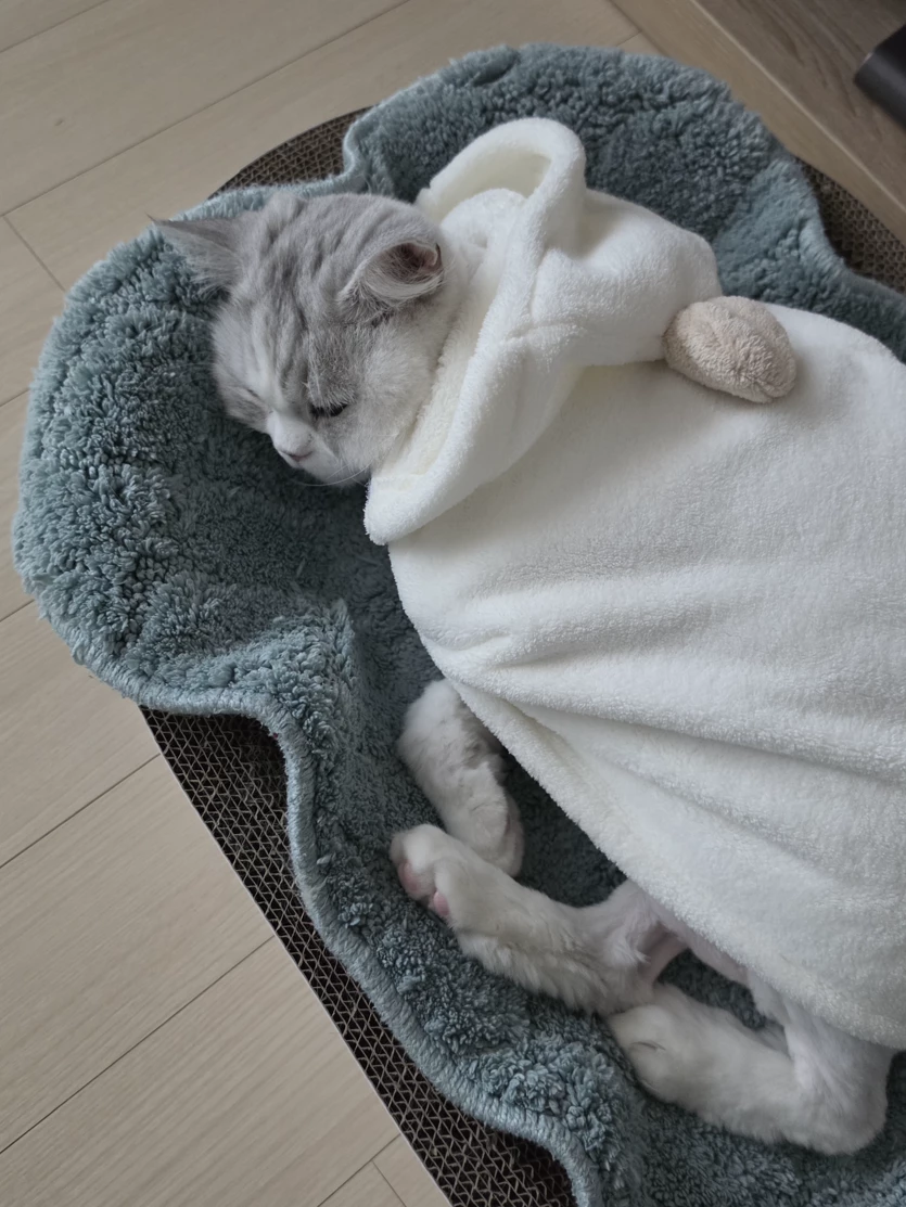 게시글 이미지