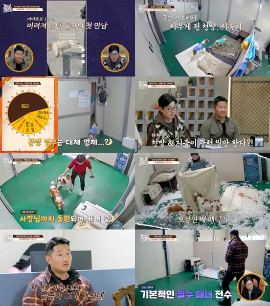 게시글 이미지