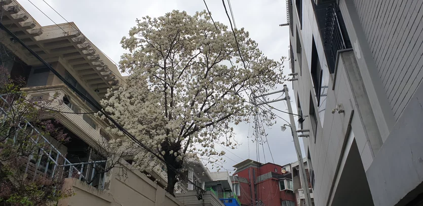 게시글 이미지