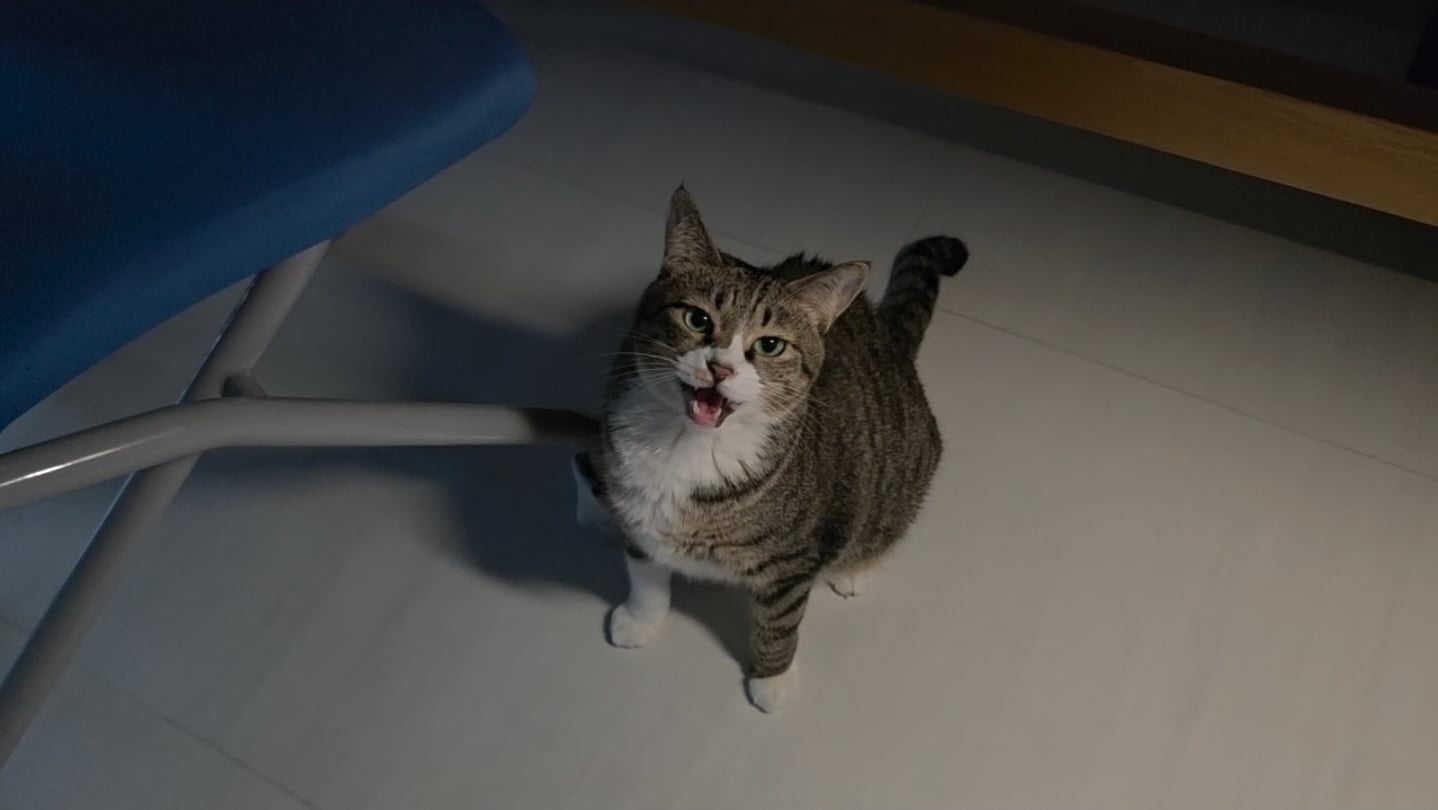 첨부 이미지