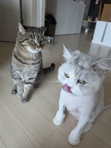 게시글 이미지