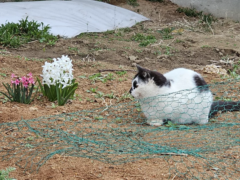 게시글 이미지