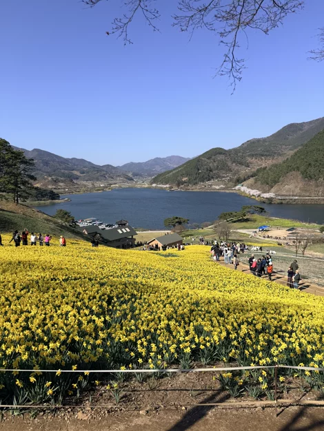 게시글 이미지