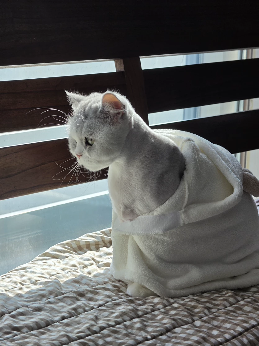 게시글 이미지