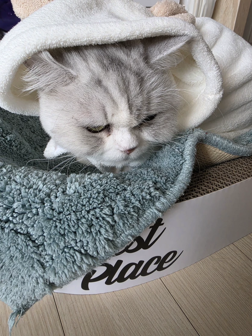 게시글 이미지