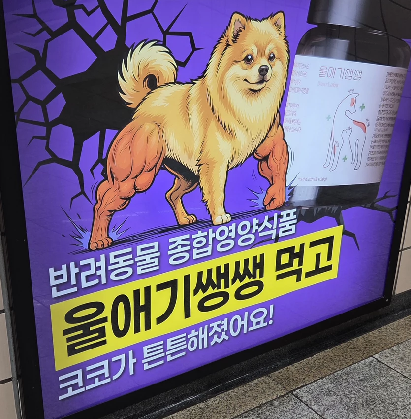 게시글 이미지