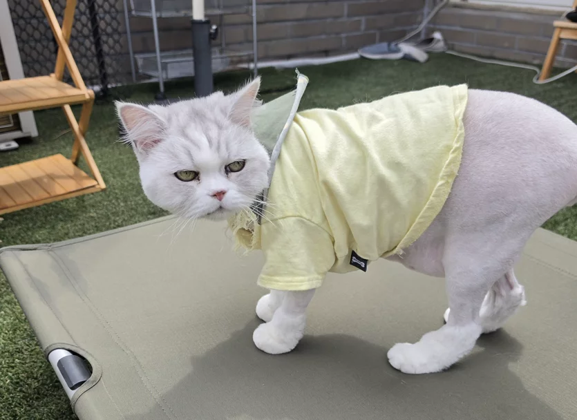 게시글 이미지