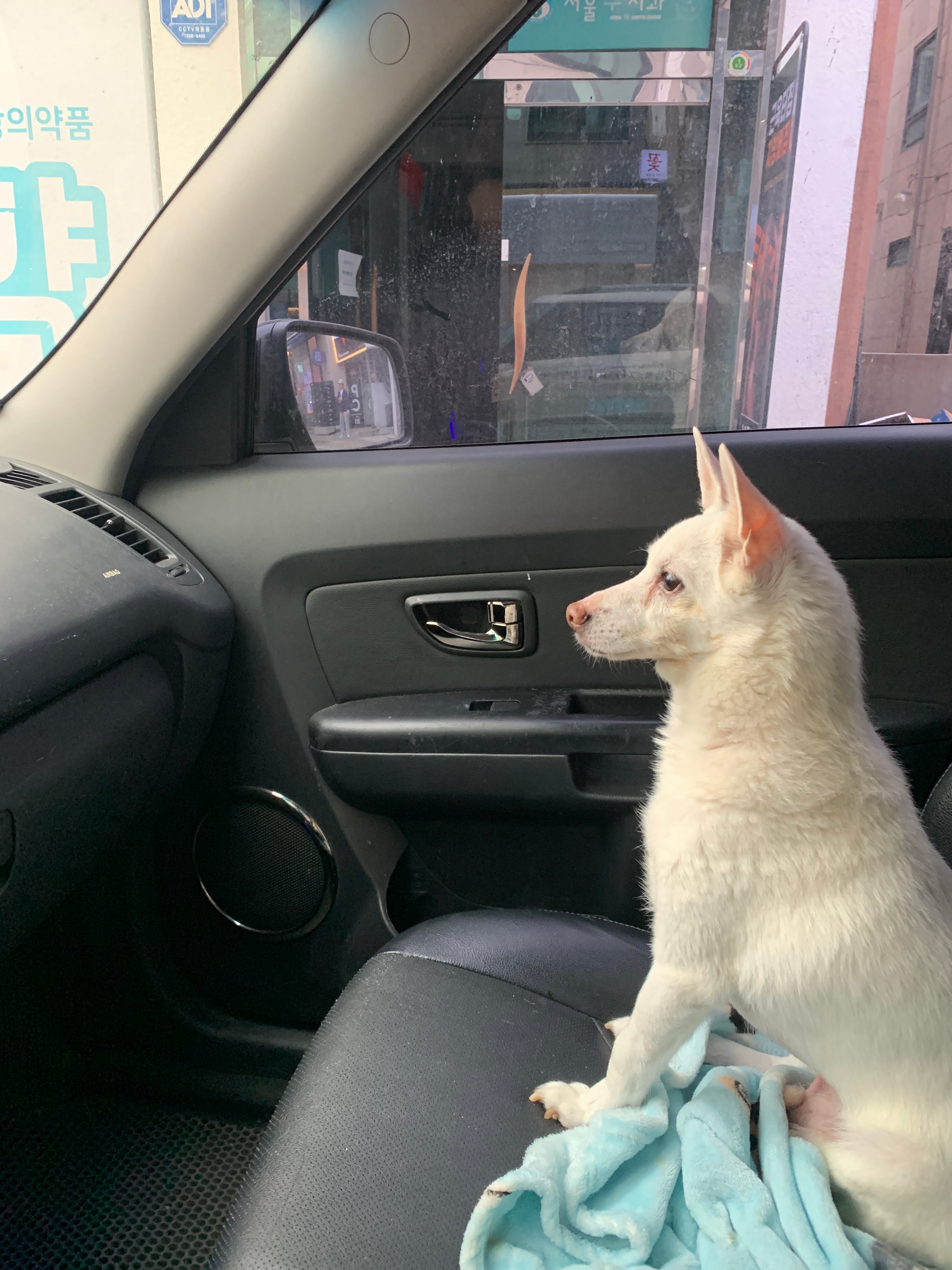 IMG_0452.jpeg
