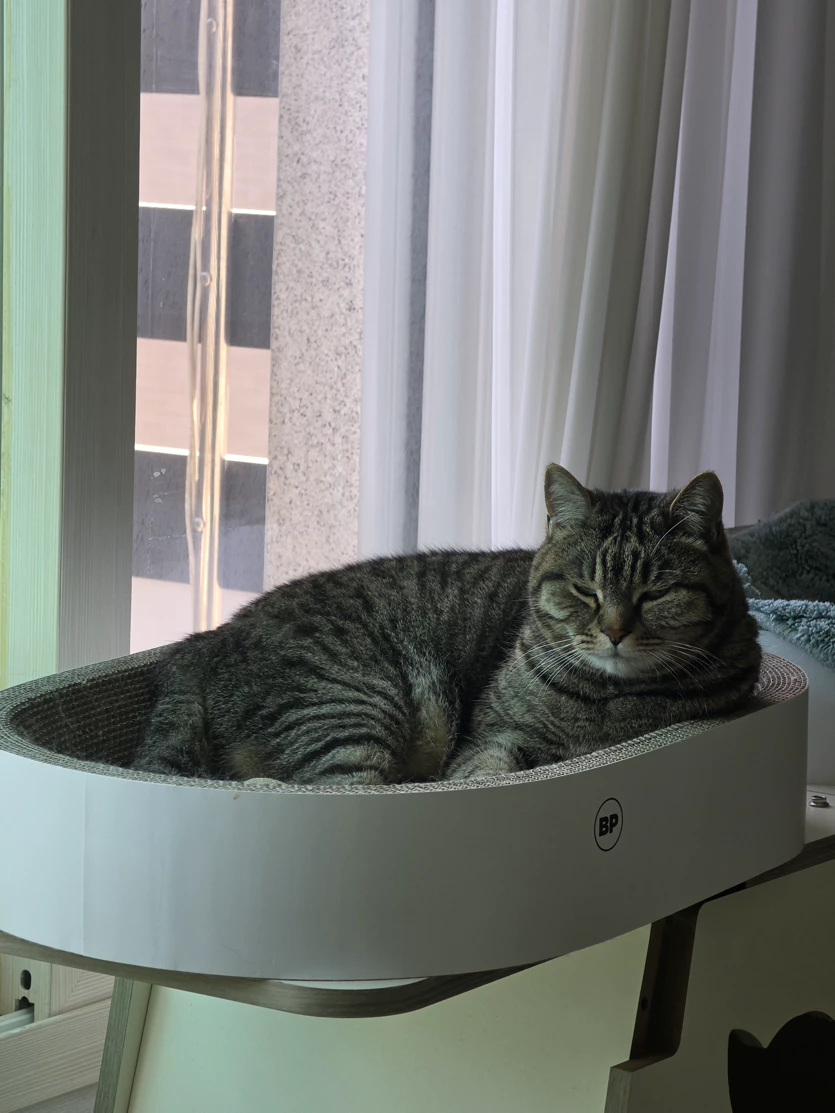 게시글 이미지