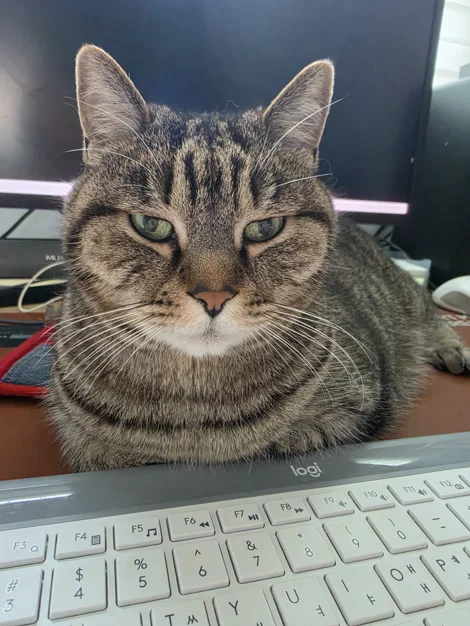게시글 이미지