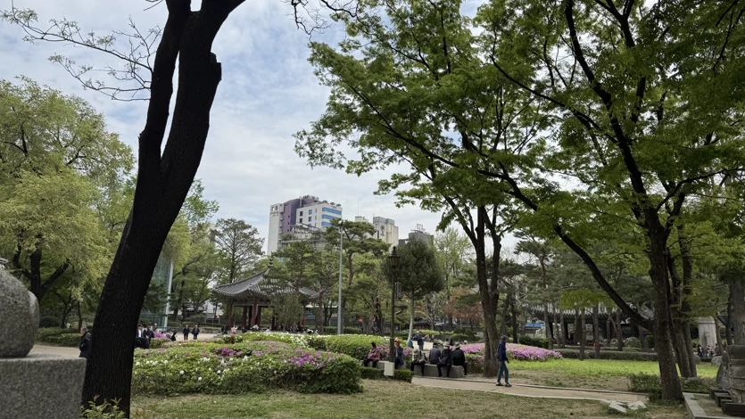 게시글 이미지