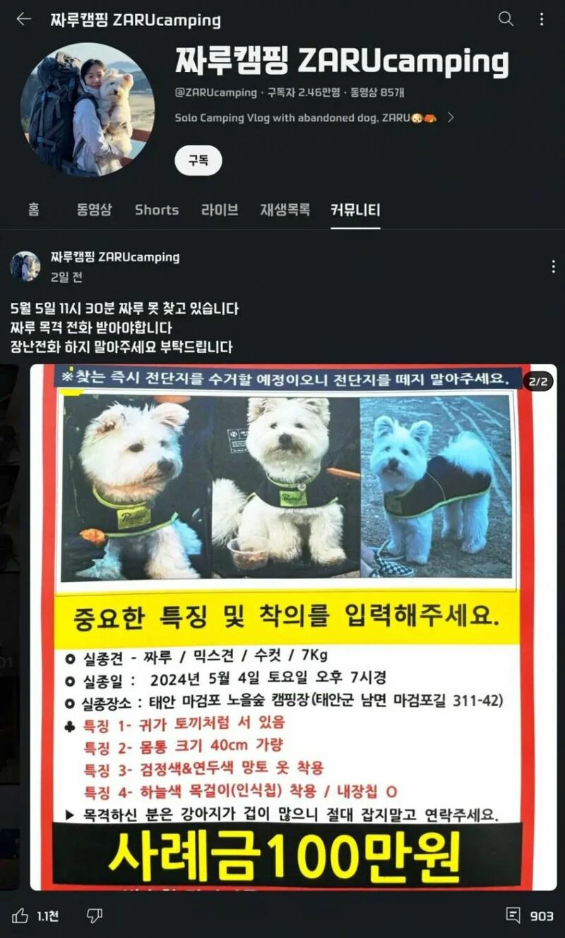 게시글 이미지