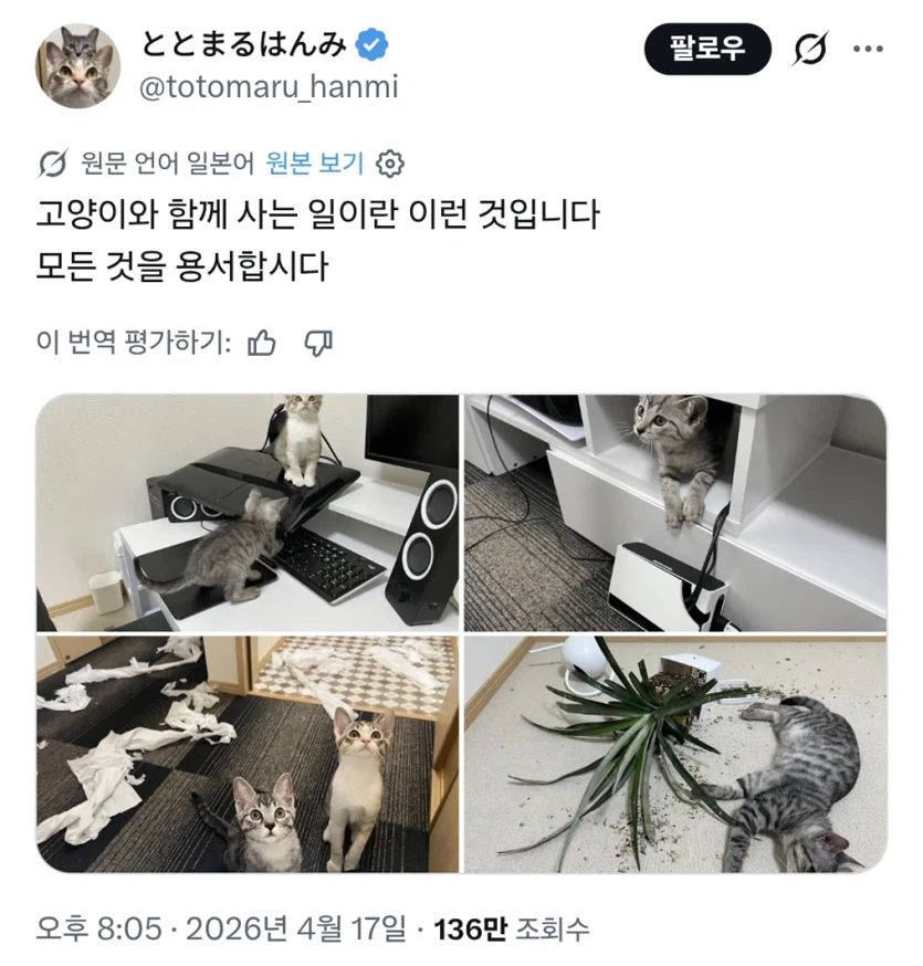 게시글 이미지