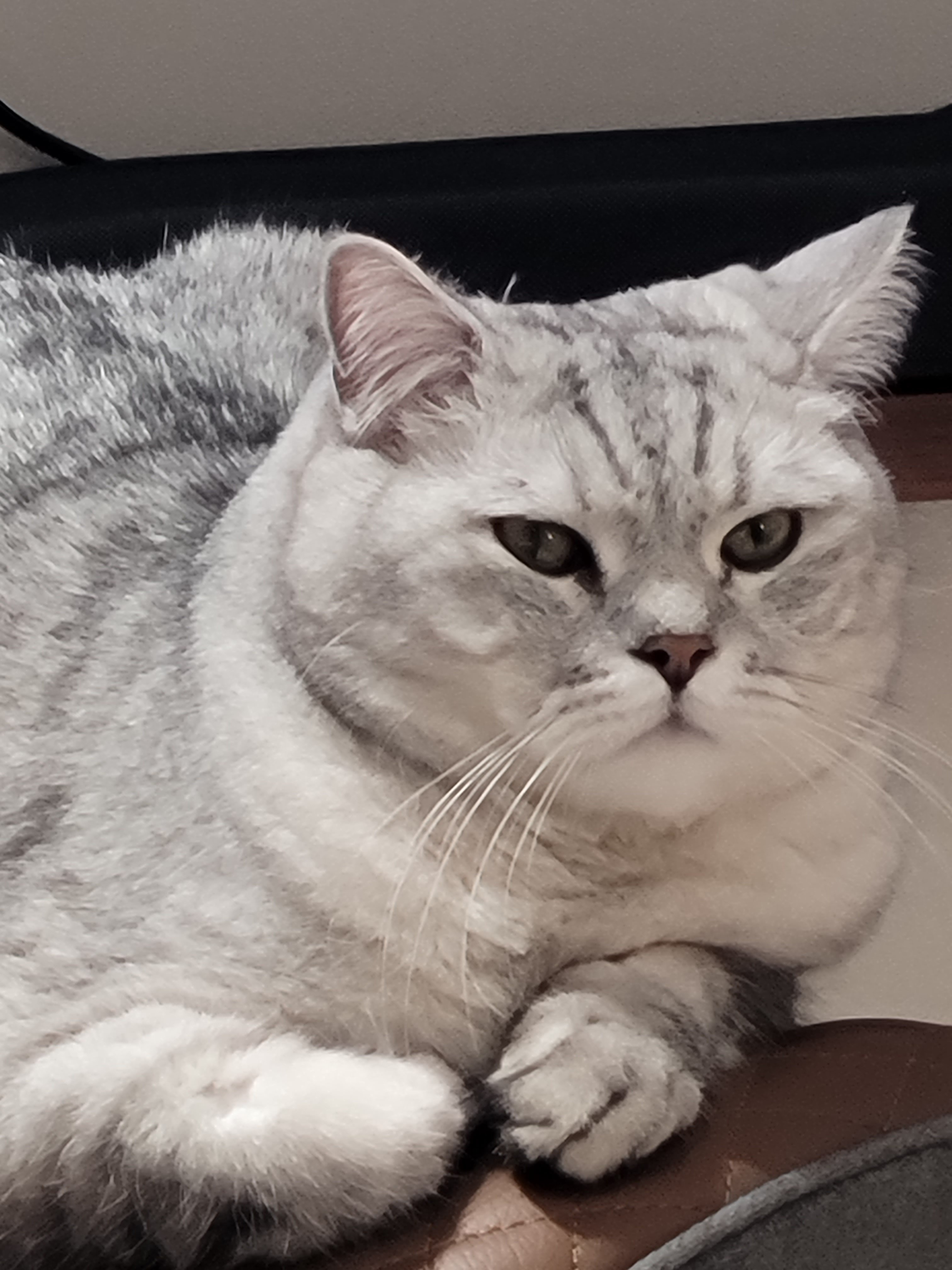 KakaoTalk_20260420_122439651_12.jpg