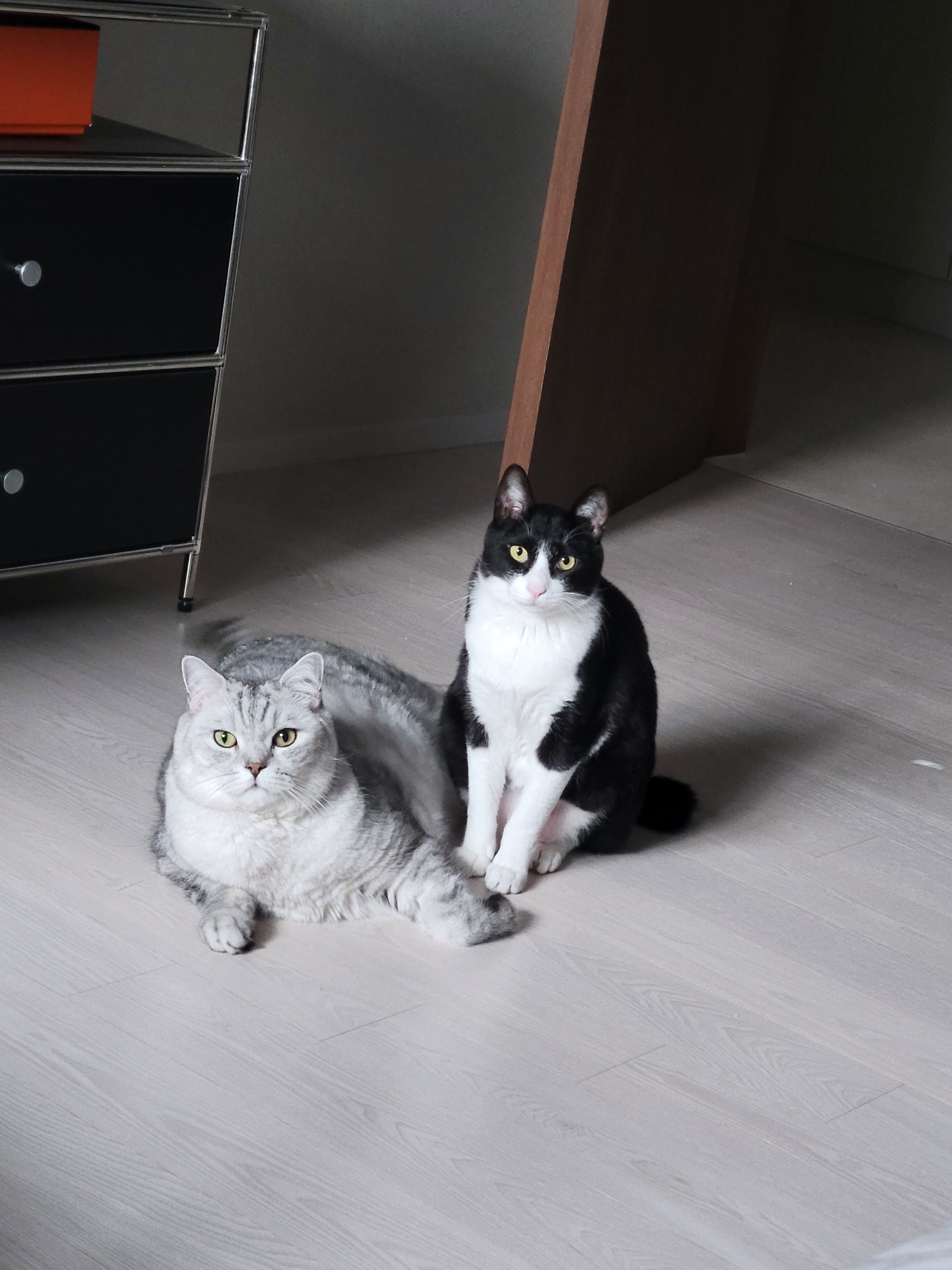 KakaoTalk_20260420_122439651.jpg