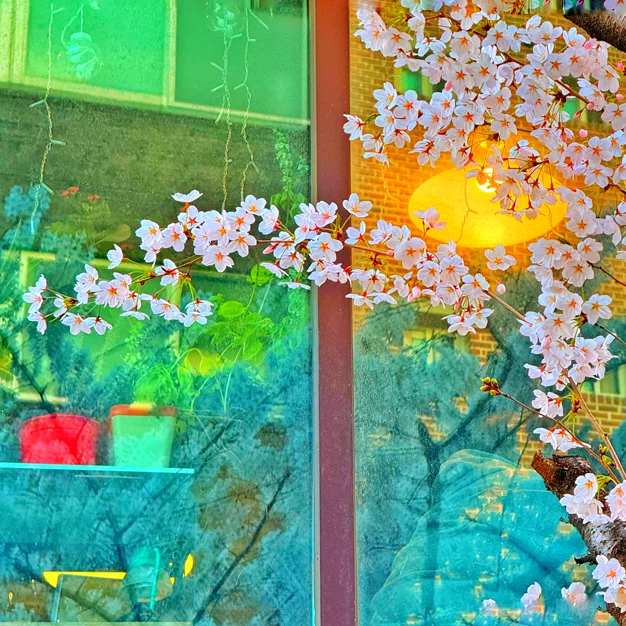게시글 이미지