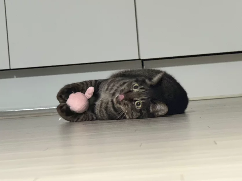 게시글 이미지