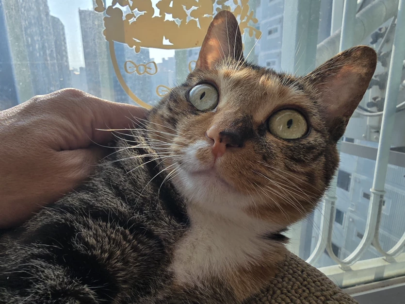 게시글 이미지