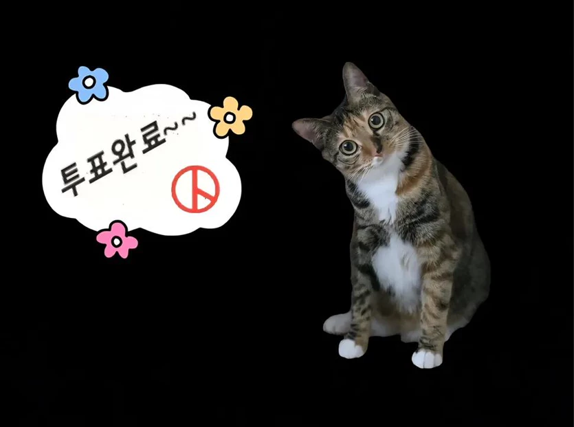 게시글 이미지