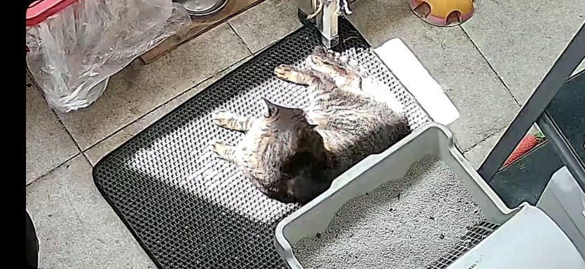 게시글 이미지