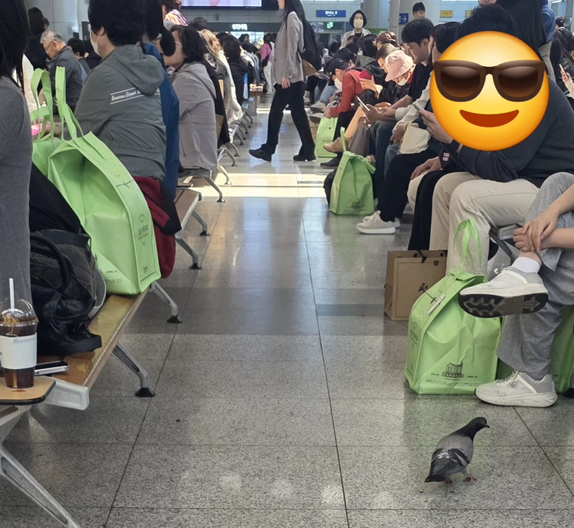 게시글 이미지