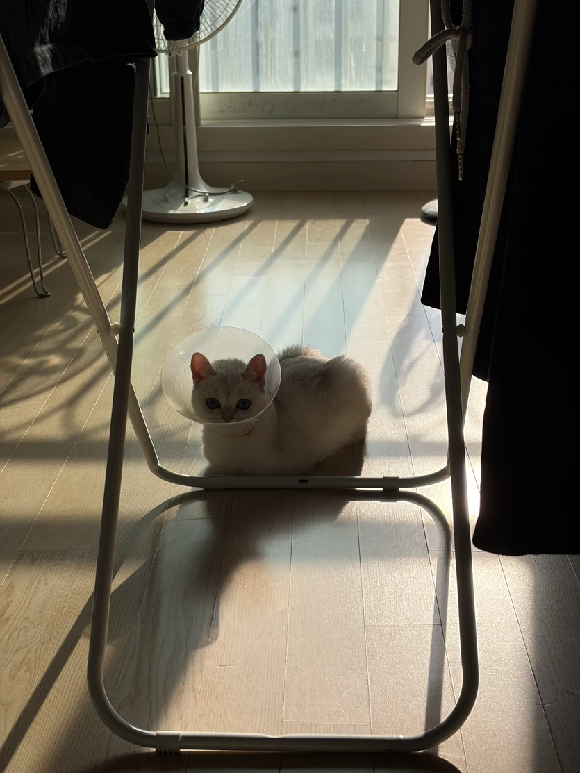 게시글 이미지