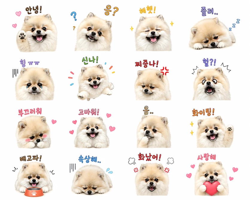 게시글 이미지