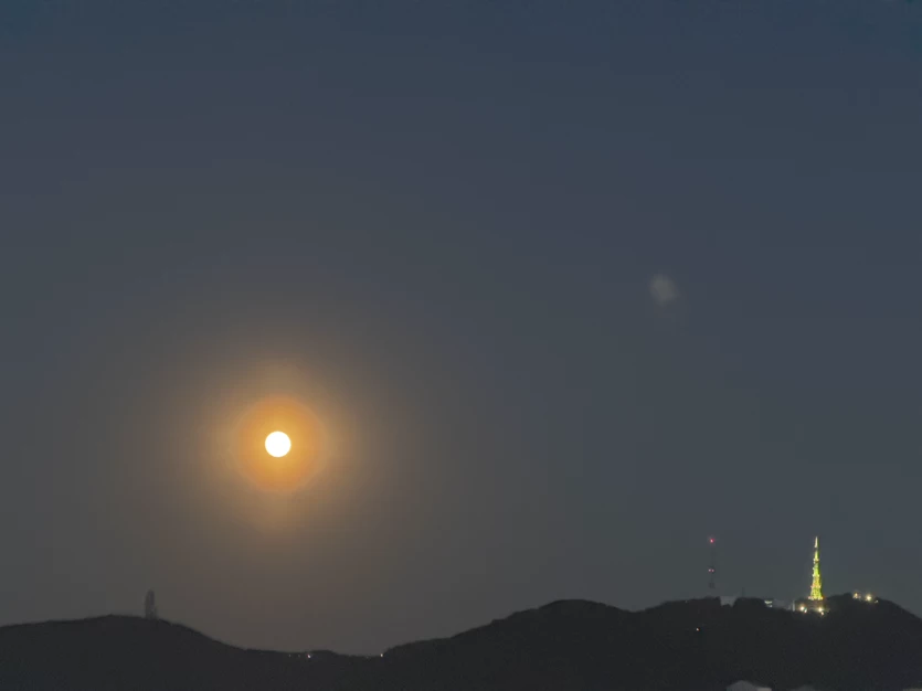게시글 이미지