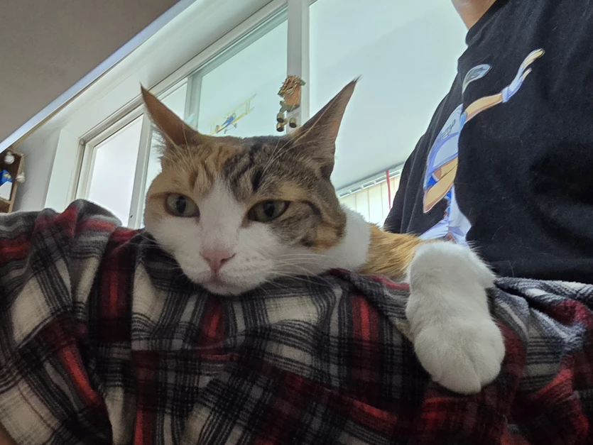 게시글 이미지
