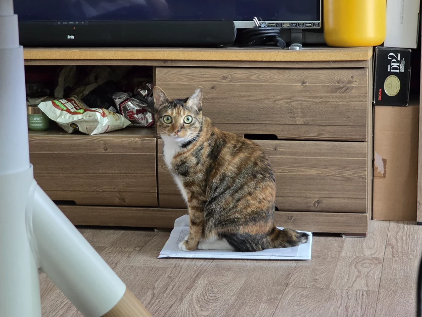 게시글 이미지